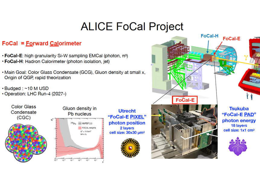 ALICE FoCal Project